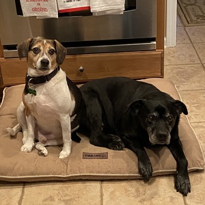 Fundraising Page: Sandra Alvis